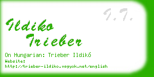 ildiko trieber business card